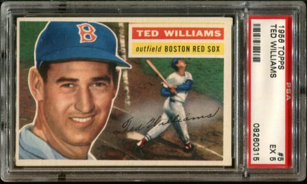 1956 Topps #5 Ted Williams PSA 5 HOF WHITE BACK (08260315) - Image 3