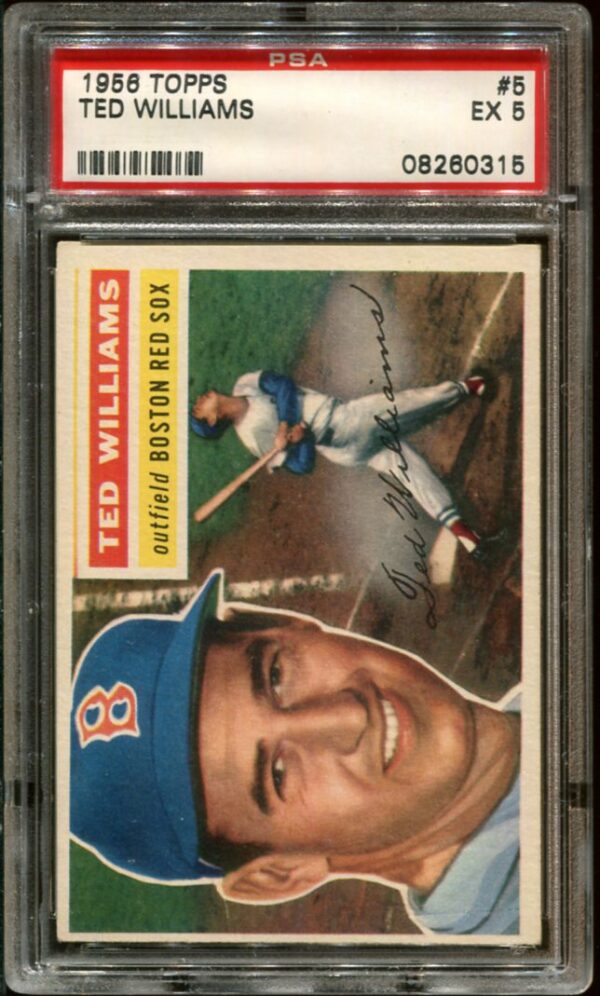 1956 Topps #5 Ted Williams PSA 5 HOF WHITE BACK (08260315)